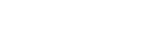 Viden Hosting